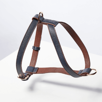 Argos harness clearance