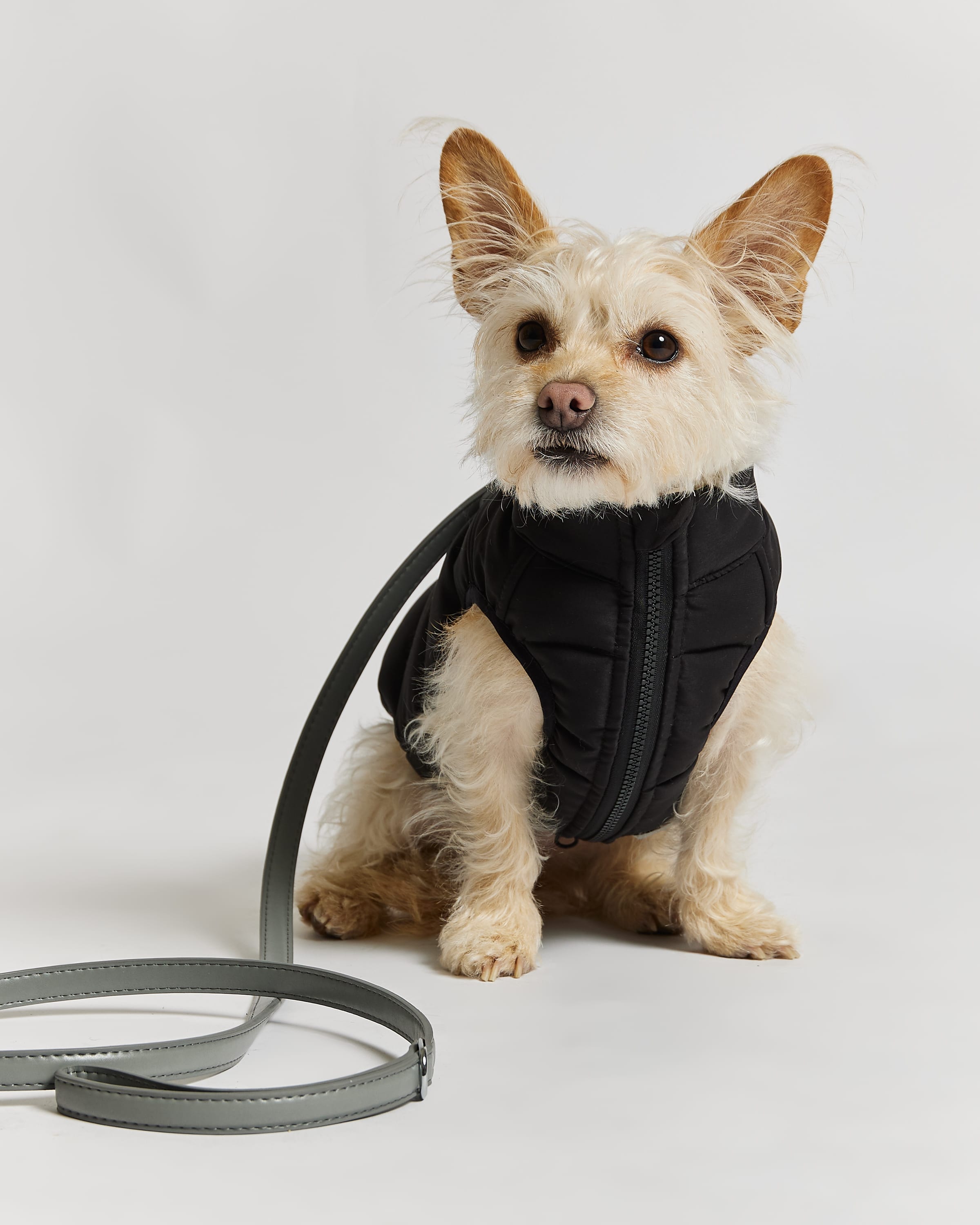 Barc London Dog Puffer Jacket