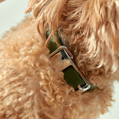 Frank Green Khaki Dog Collar