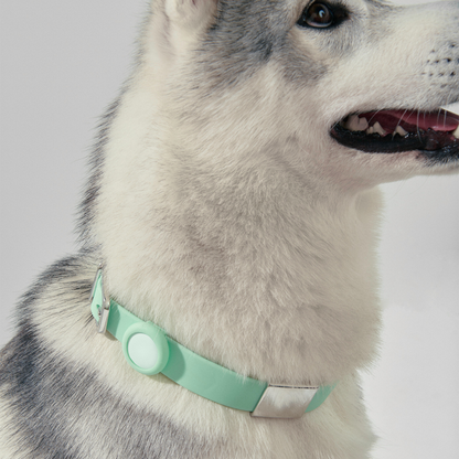 Frank Green Mint Gelato Dog Collar