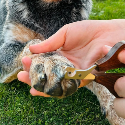 Hairy Nail Scissors