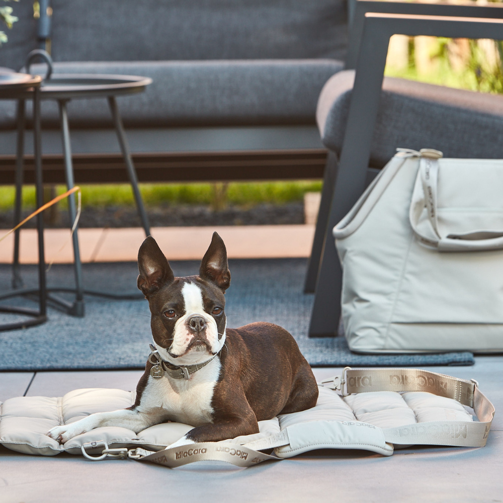 MiaCara Sporta Dog Bed