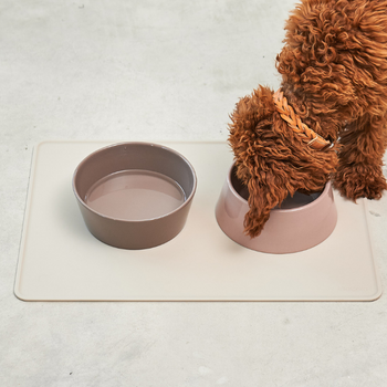 Wild One Silicone Dog Placemat