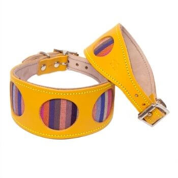 Pets at home clearance dog collars and leads